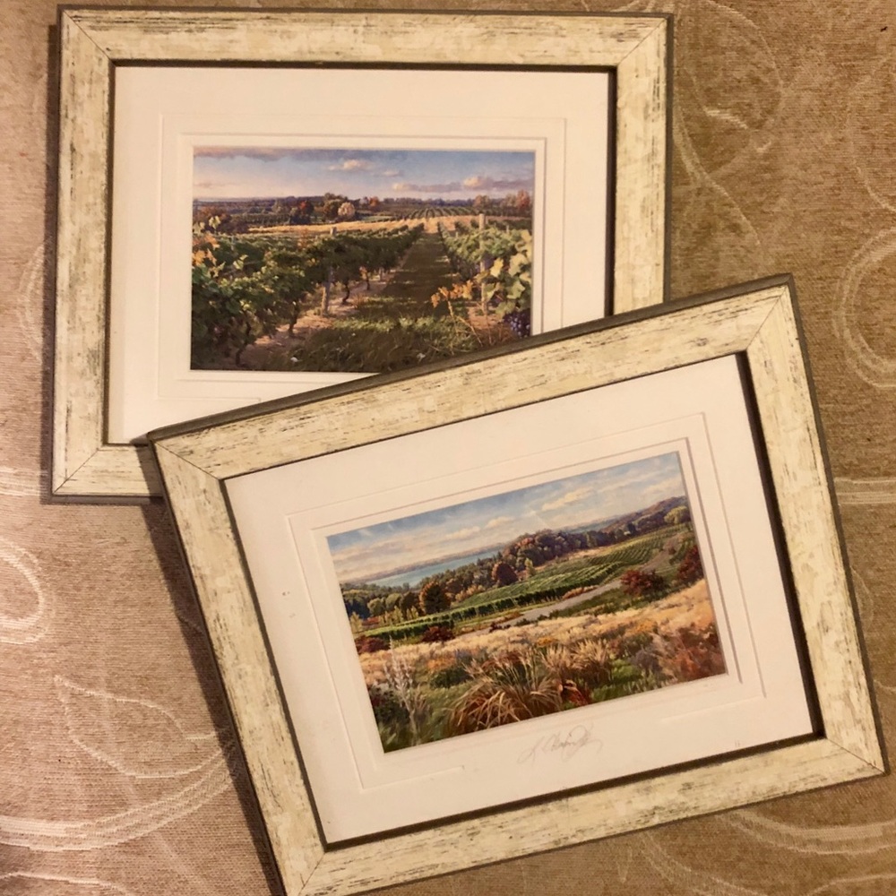 Vineyard framed prints - Set of 2